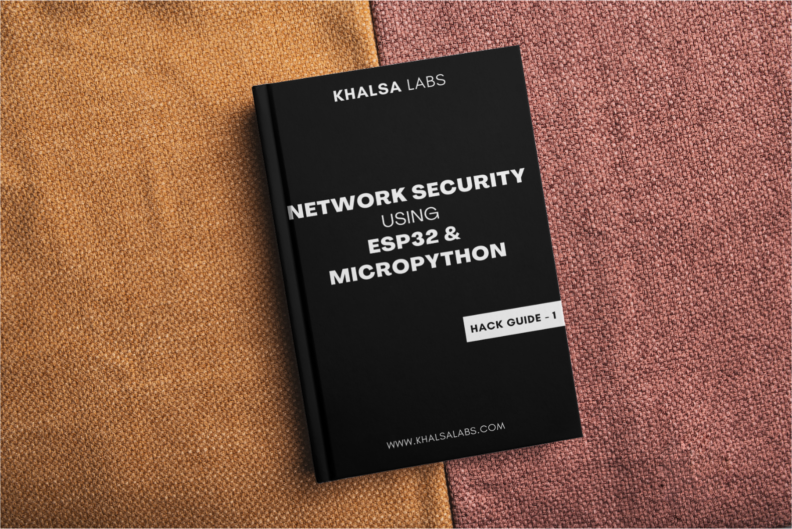 Download Guide - ESP32 and Micropython For Network Security