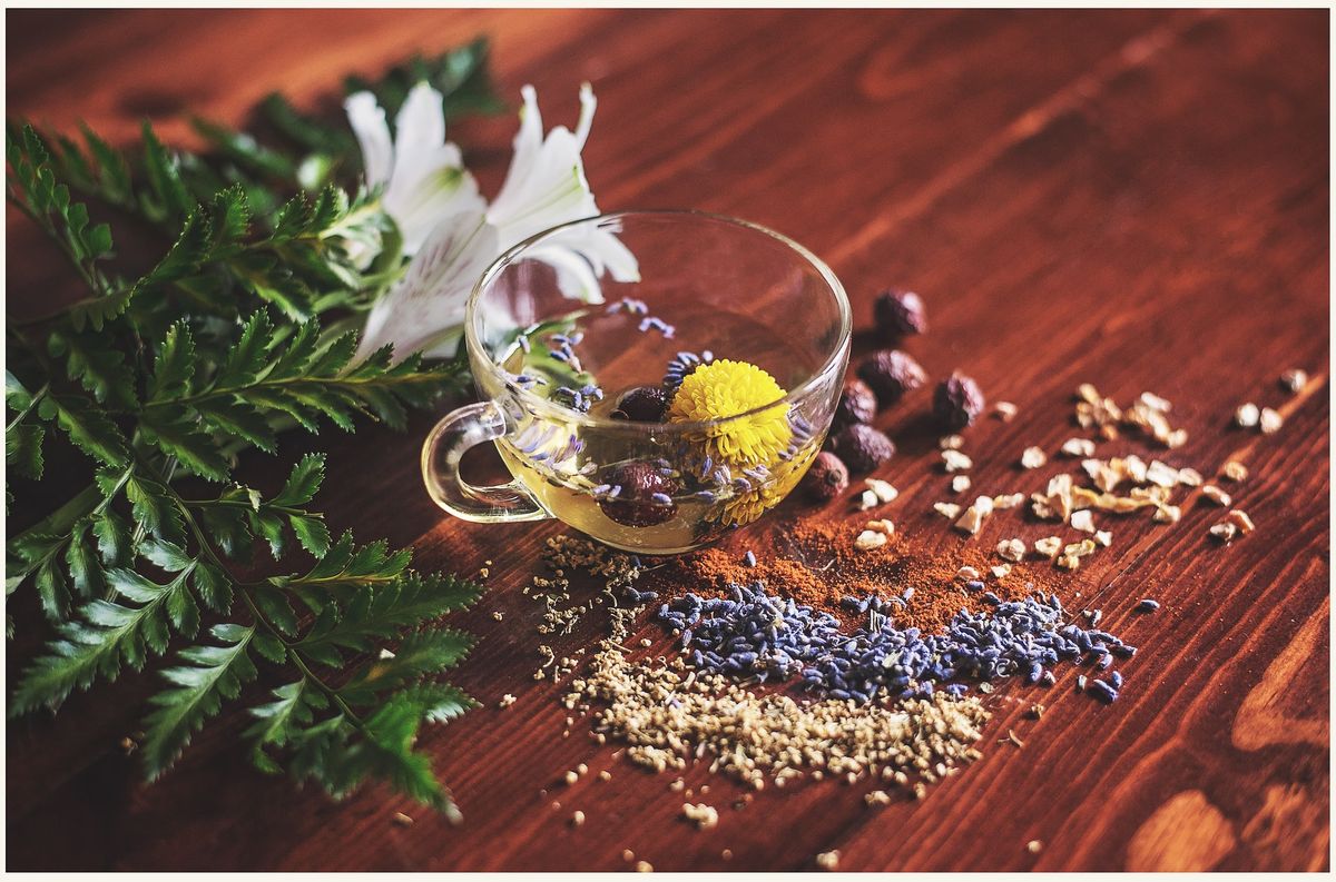 Top Ayurvedic Herbs with medicinal properties - Ayurveda