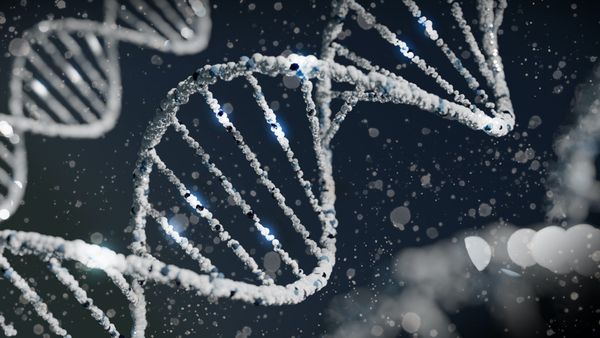 The 5 best DNA tests of 2022