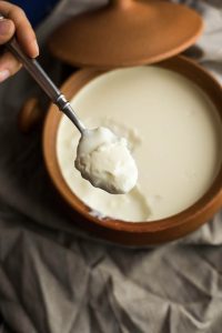 How to make Homemade Yogurt Khalsa Labs