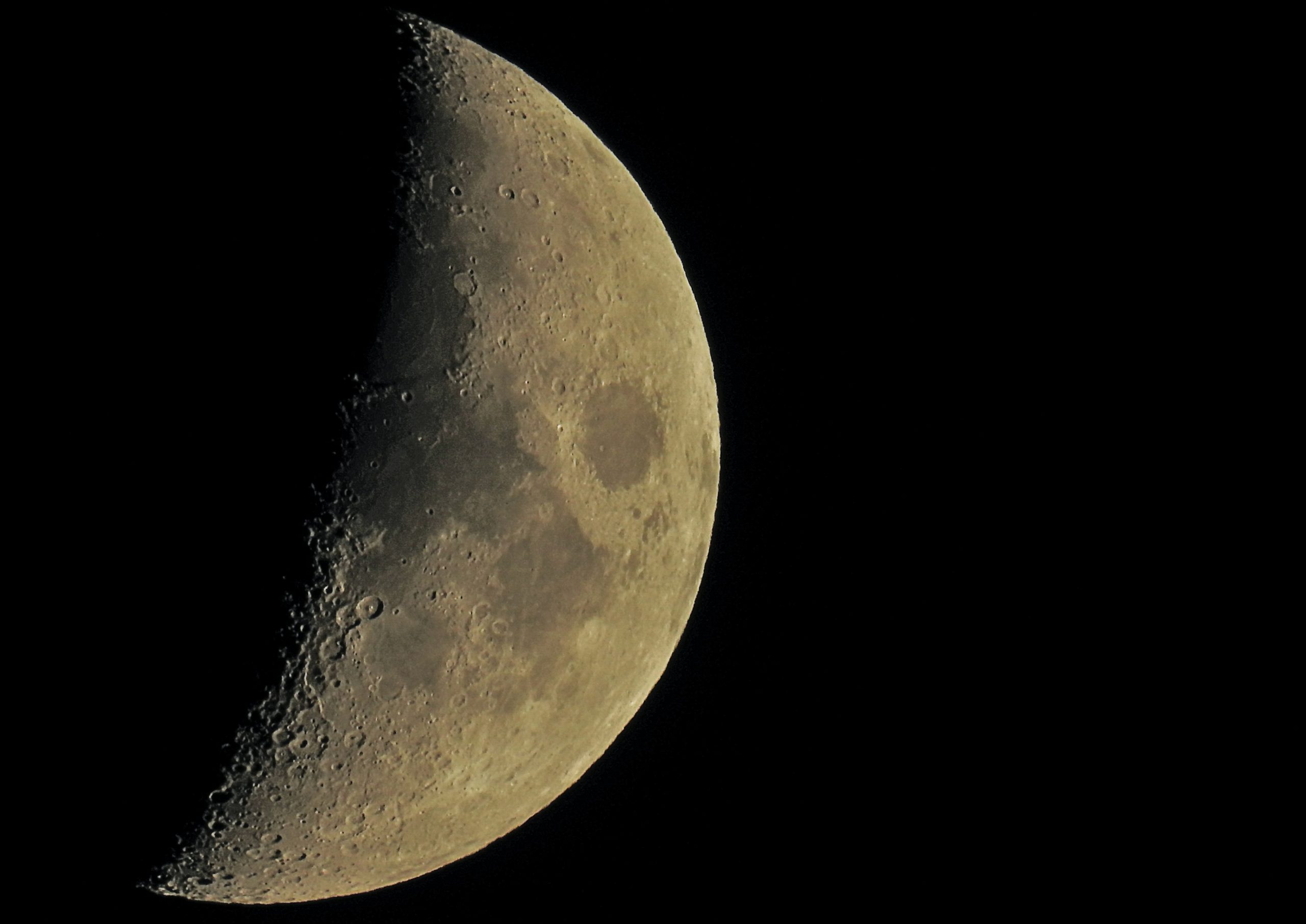 SpaceX hires a pioneer in space tourism for the Moon Trip